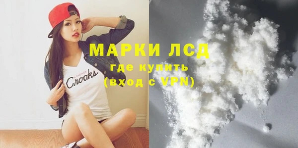 стаф Арсеньев