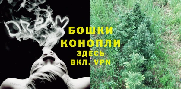 хмурый Снежногорск