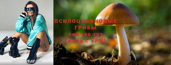 прущие грибы Алексеевка