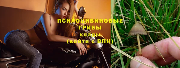 СК Армянск