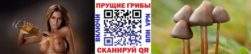 Галлюциногенные грибы MAGIC MUSHROOMS  Артёмовский 